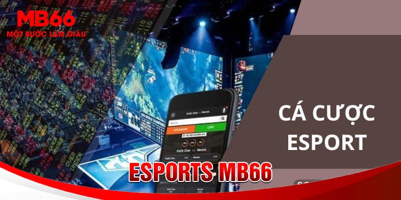 Sảnh game Esport MB66 có nhiều điểm hấp dẫn