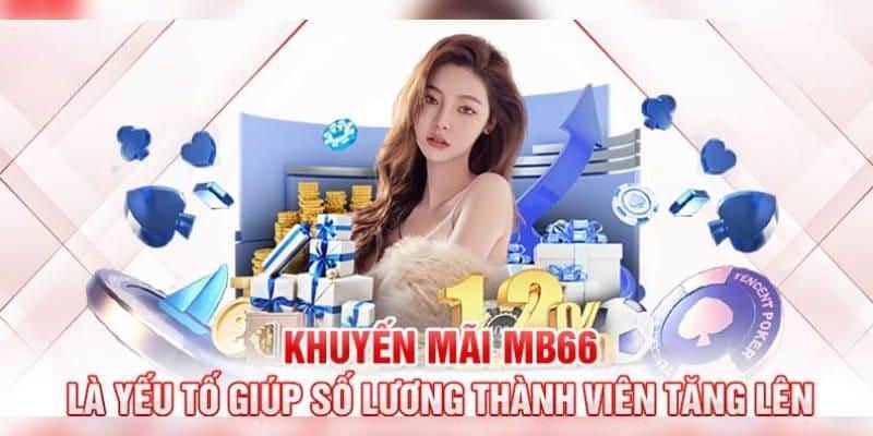 Ưu đãi độc quyền dành cho sảnh xổ số